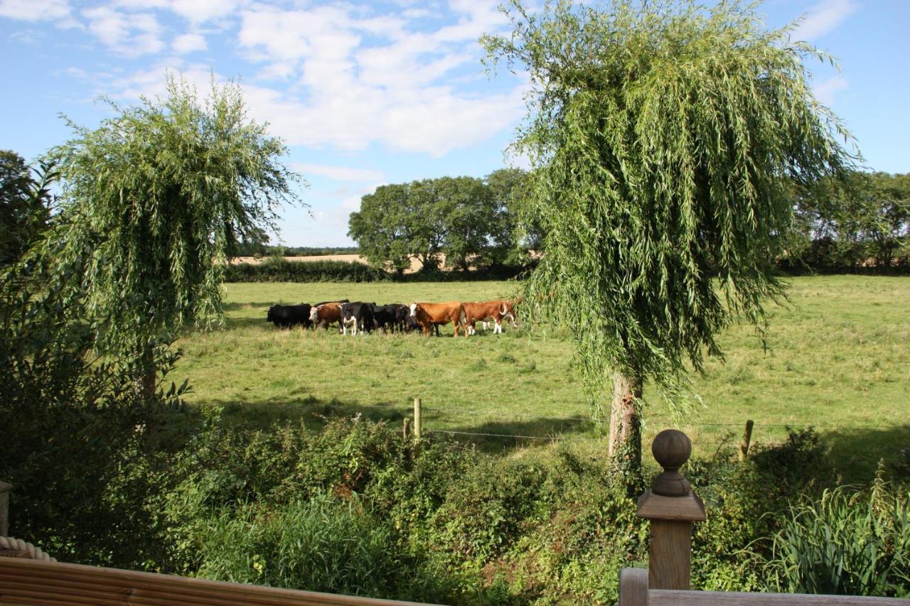 Bridge Cottage Bed And Breakfast Peterborough Eksteriør bilde